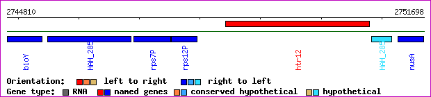 gene map