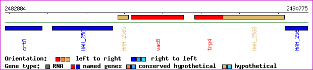 gene map