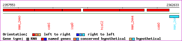 gene map