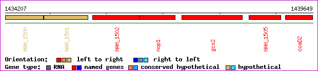 gene map