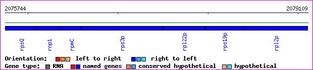 gene map