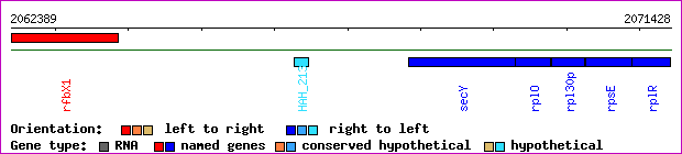 gene map