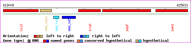 gene map