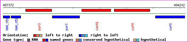 gene map