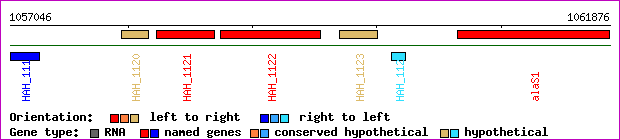 gene map