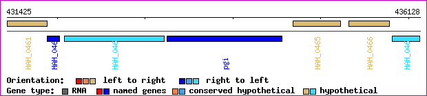 gene map