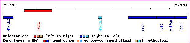 gene map