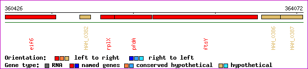gene map