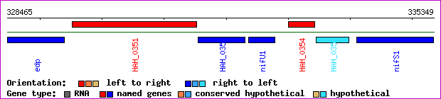 gene map