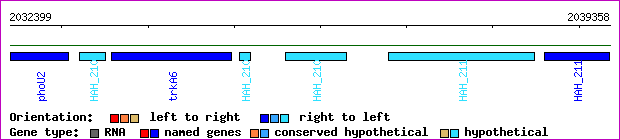 gene map