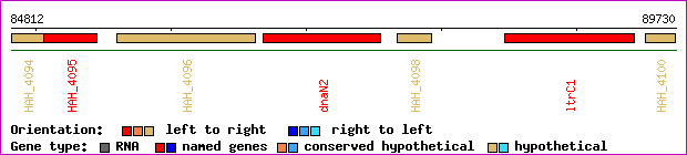gene map