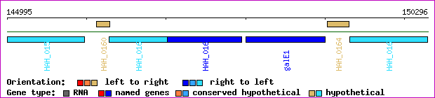 gene map