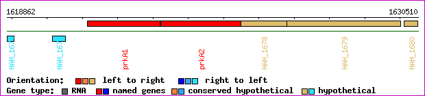 gene map