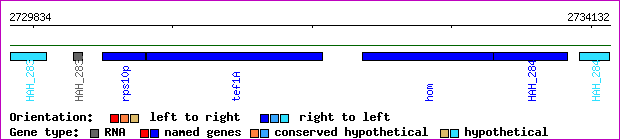 gene map