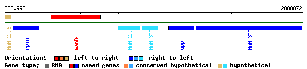 gene map