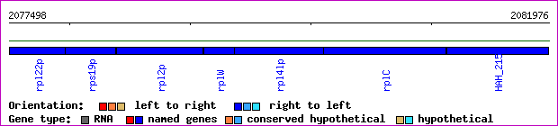 gene map