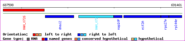gene map