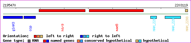 gene map
