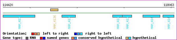 gene map