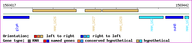 gene map
