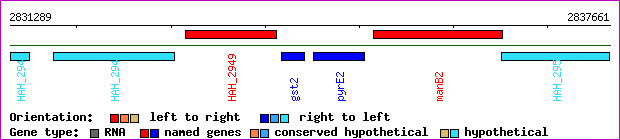 gene map