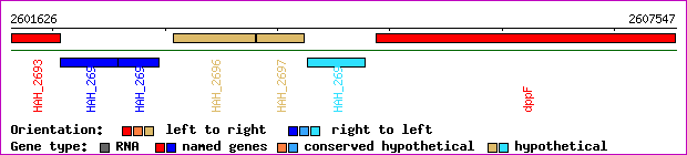 gene map