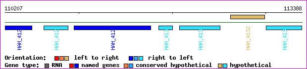 gene map