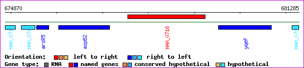 gene map