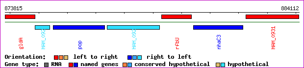 gene map