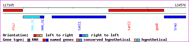 gene map