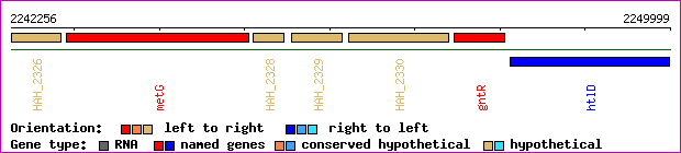 gene map