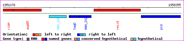 gene map