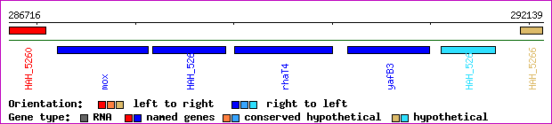 gene map