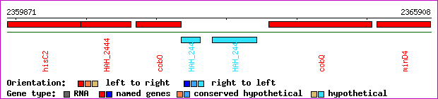 gene map
