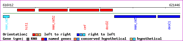 gene map