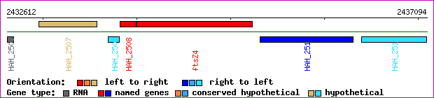 gene map