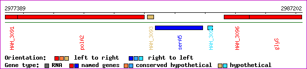 gene map