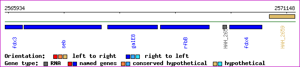 gene map