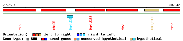 gene map