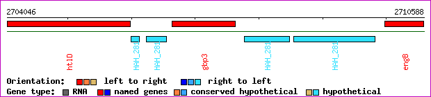 gene map
