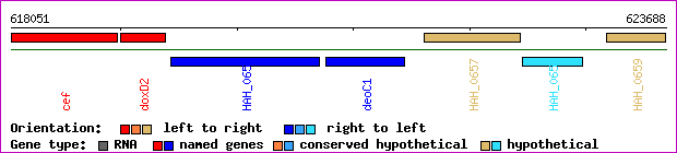gene map