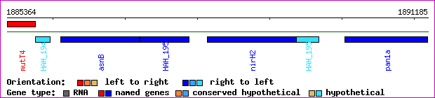 gene map