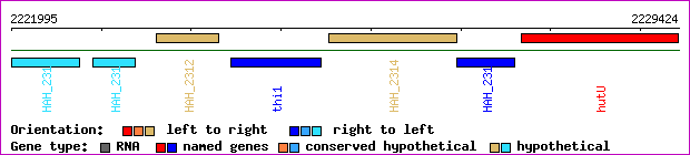 gene map