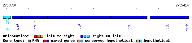 gene map
