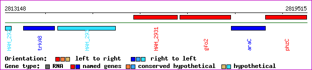 gene map