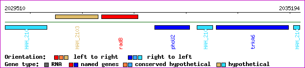 gene map