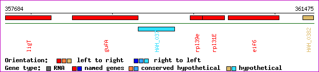 gene map