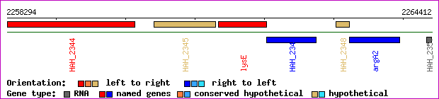 gene map