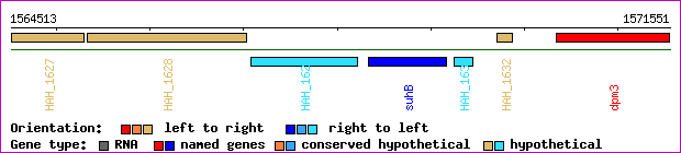 gene map