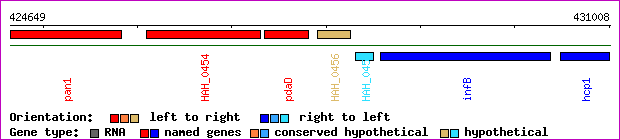 gene map